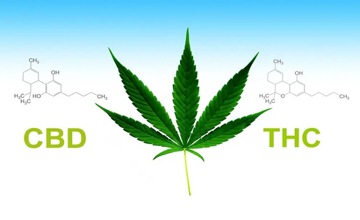 CBD