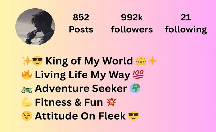 instagram bio