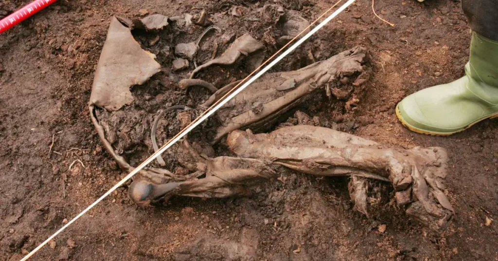 cashel man ireland’s oldest bog body discovery