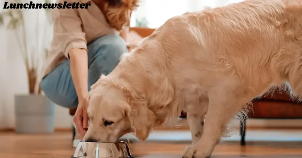 showtime dog food reviews, prices & nutrition guide (2)